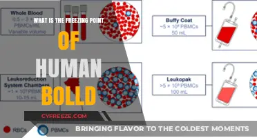 Human Blood Freezing Point: Understanding Its Critical Temperature Threshold