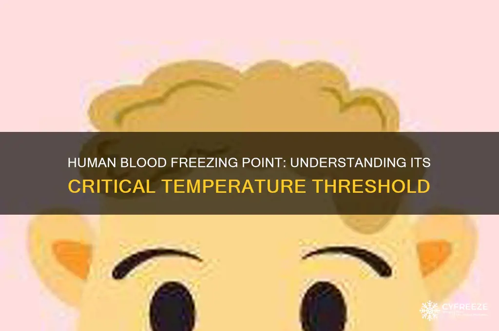 what is the freezing point of human bolld