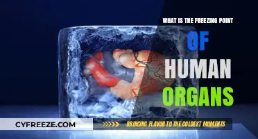 Human Organ Freezing: Understanding Critical Preservation Temperatures and Limits