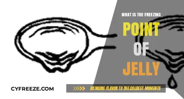 Understanding the Freezing Point of Jelly: A Comprehensive Guide