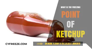 Exploring the Freezing Point of Ketchup: A Culinary Science Guide