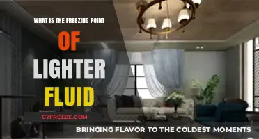 Understanding the Freezing Point of Lighter Fluid: A Comprehensive Guide