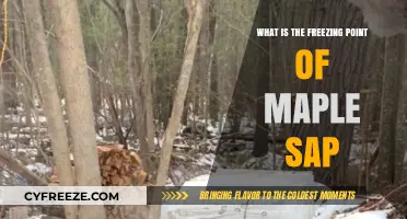 Discovering the Exact Freezing Point of Maple Sap: A Sweet Science