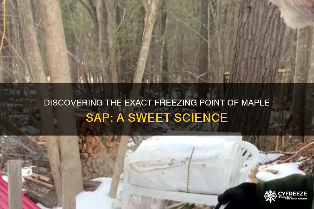 what is the freezing point of maple sap