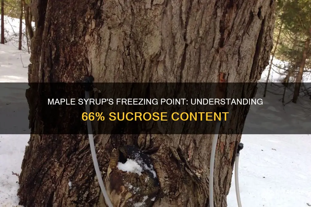 what is the freezing point of maple syrup 66 sucrose