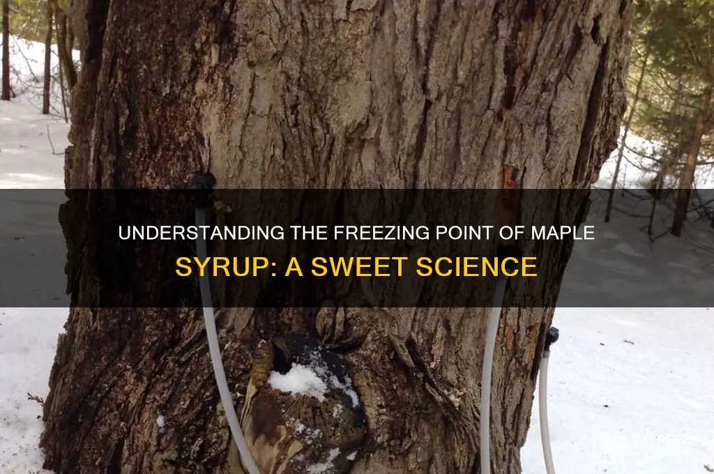 what is the freezing point of maple syrup