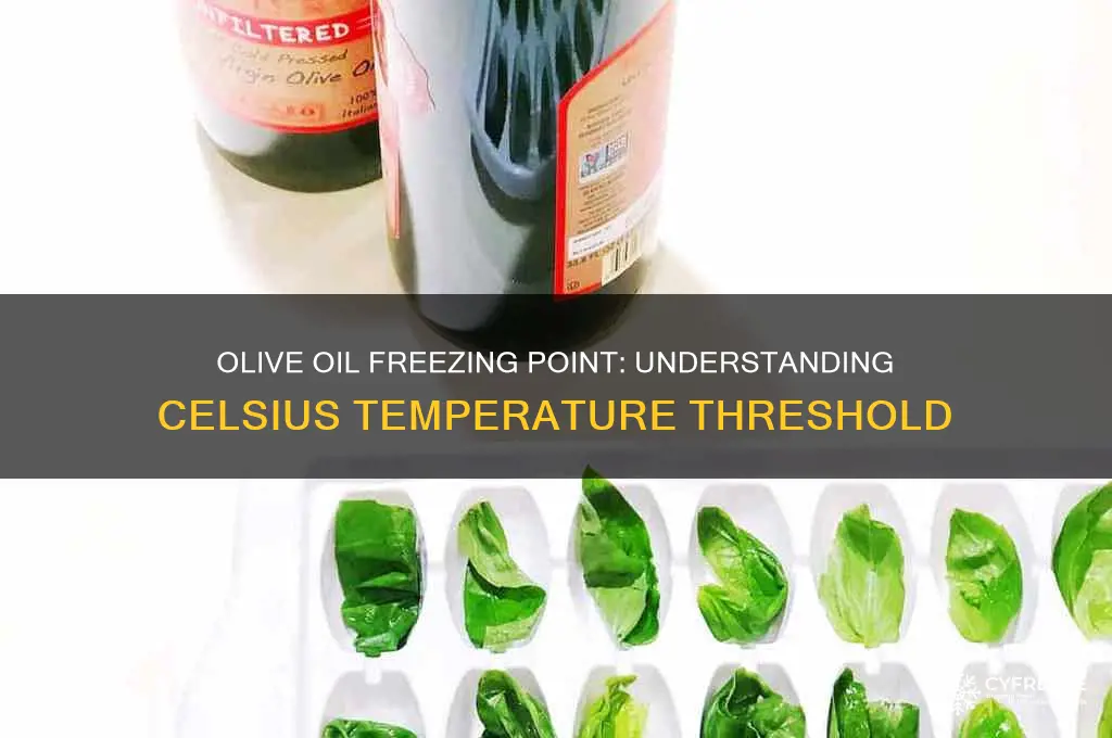 what is the freezing point of olive oil in celsius
