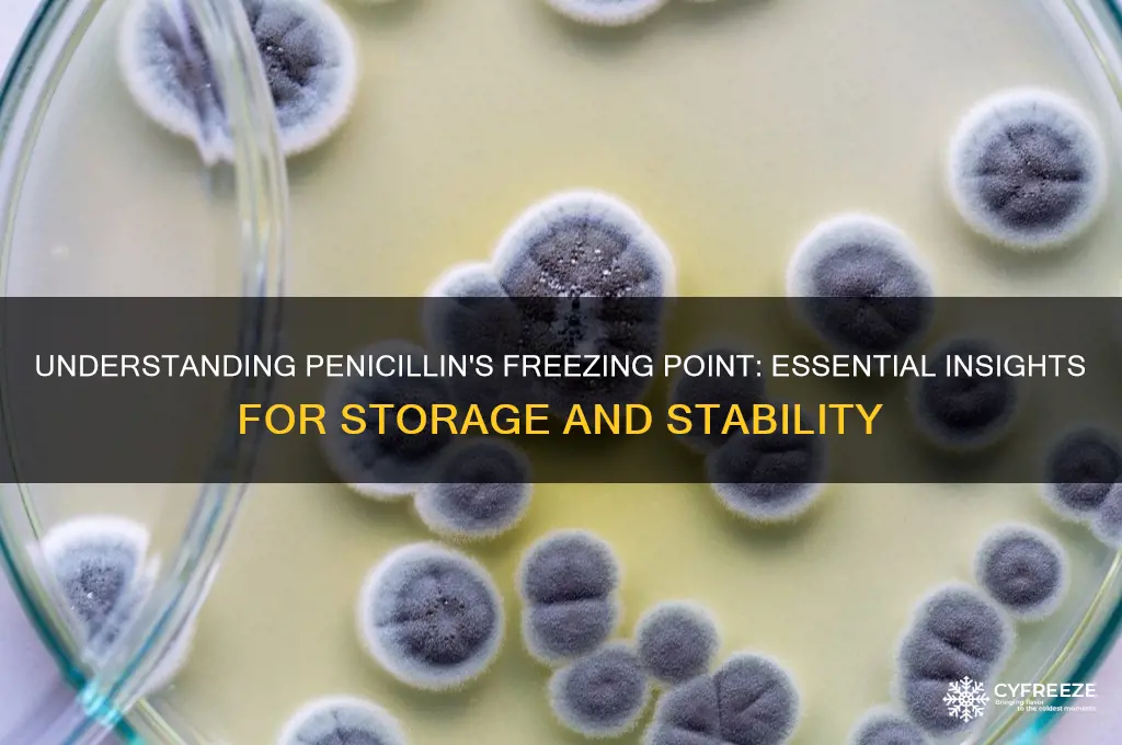 what is the freezing point of penicillin