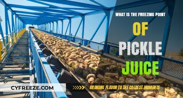 Discover the Surprising Freezing Point of Pickle Juice: A Guide
