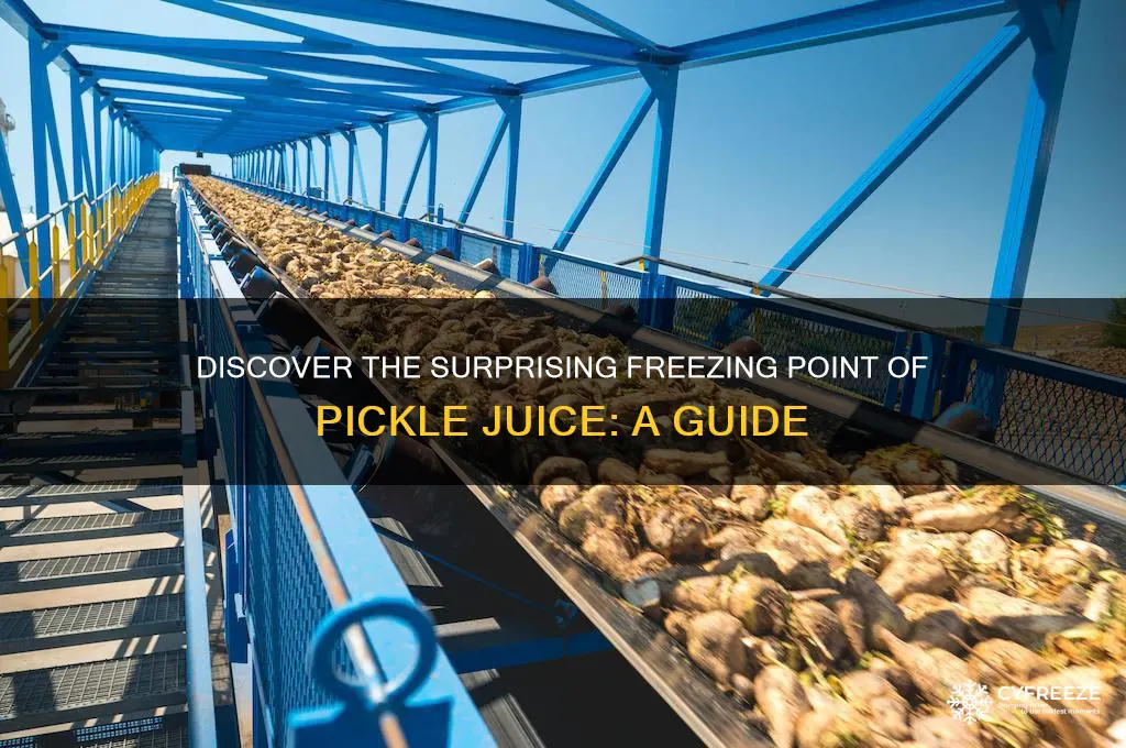 what is the freezing point of pickle juice