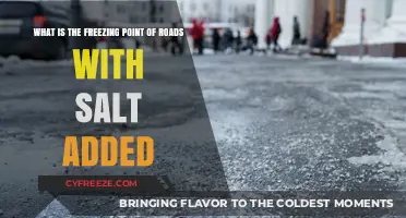 How Salt Lowers Road Freezing Points: A Winter Maintenance Guide
