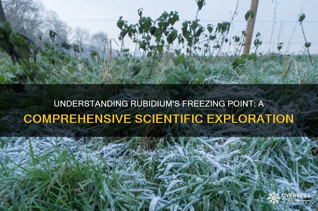 what is the freezing point of rubidium