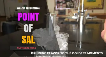 Understanding the Freezing Point of Sal: A Comprehensive Guide