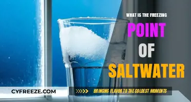 Understanding the Freezing Point of Saltwater: Science and Factors Explained