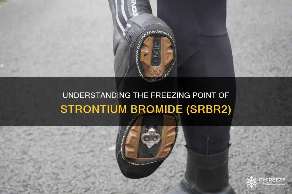 what is the freezing point of srbr2
