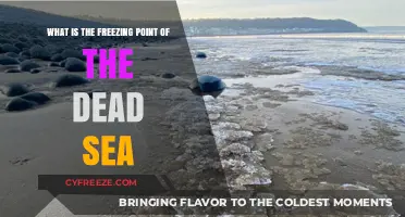 Exploring the Unique Freezing Point of the Dead Sea's Salty Waters