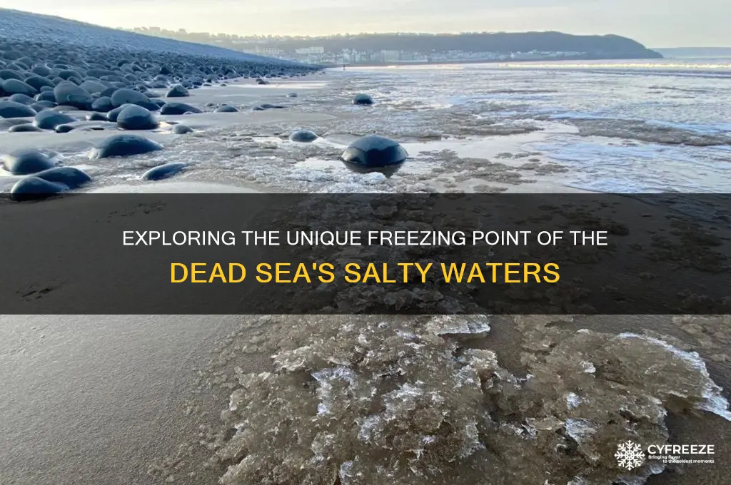 what is the freezing point of the dead sea