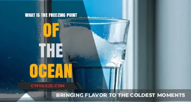 Exploring the Ocean's Freezing Point: A Deep Dive into Marine Science
