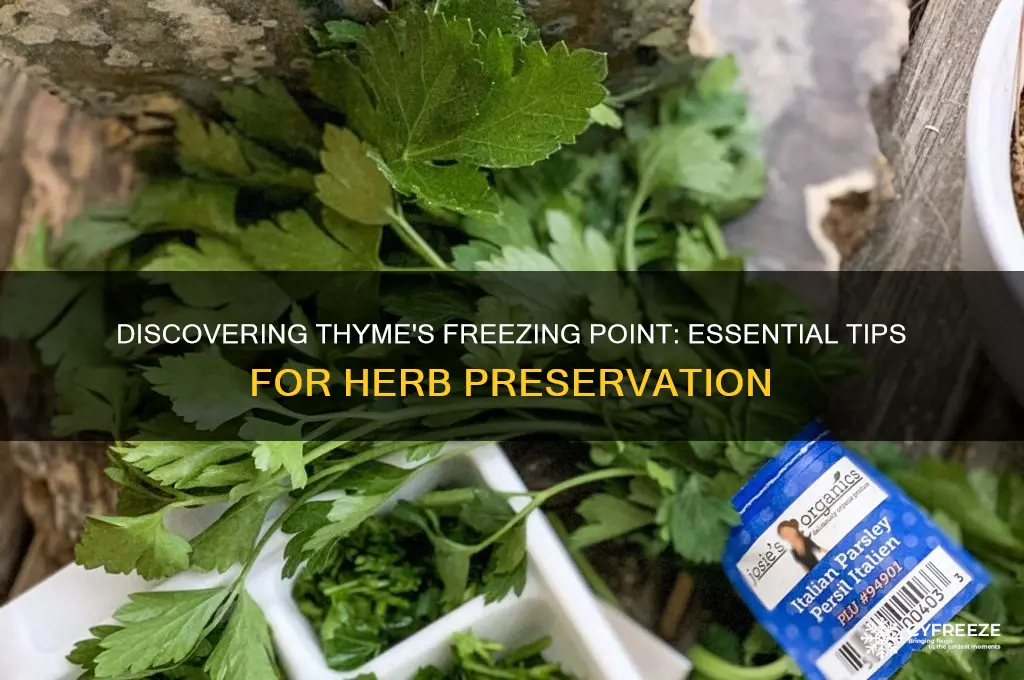 what is the freezing point of thyme herb