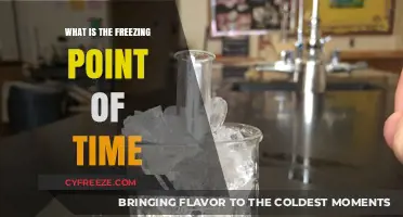 Exploring the Concept: What is the Freezing Point of Time?