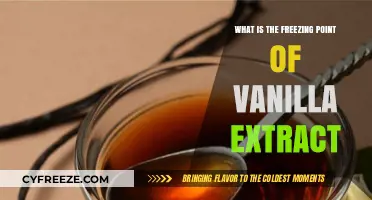 Vanilla Extract Freezing Point: A Guide to Storage and Preservation