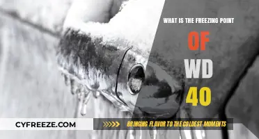 Understanding WD-40's Freezing Point: Essential Facts for Winter Maintenance