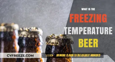 Understanding the Ideal Freezing Temperature for Beer: A Complete Guide