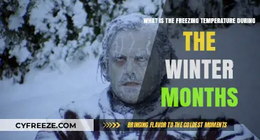 Winter's Chill: Understanding Freezing Temperatures in Cold Months