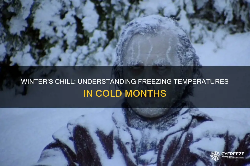 what is the freezing temperature during the winter months