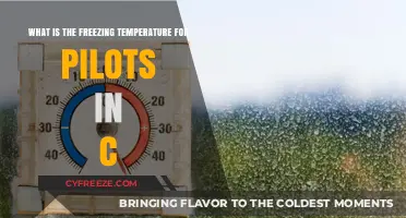 Understanding Freezing Temperatures in Celsius for Pilots: Essential Knowledge
