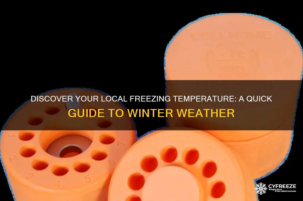 what is the freezing temperature in my area