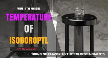 Understanding Isobornyl's Freezing Point: A Comprehensive Guide to Its Temperature