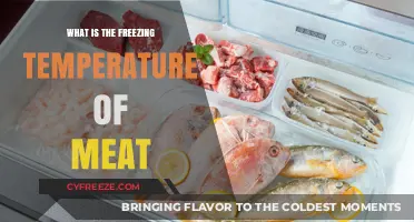 Understanding the Ideal Freezing Temperature for Meat Preservation