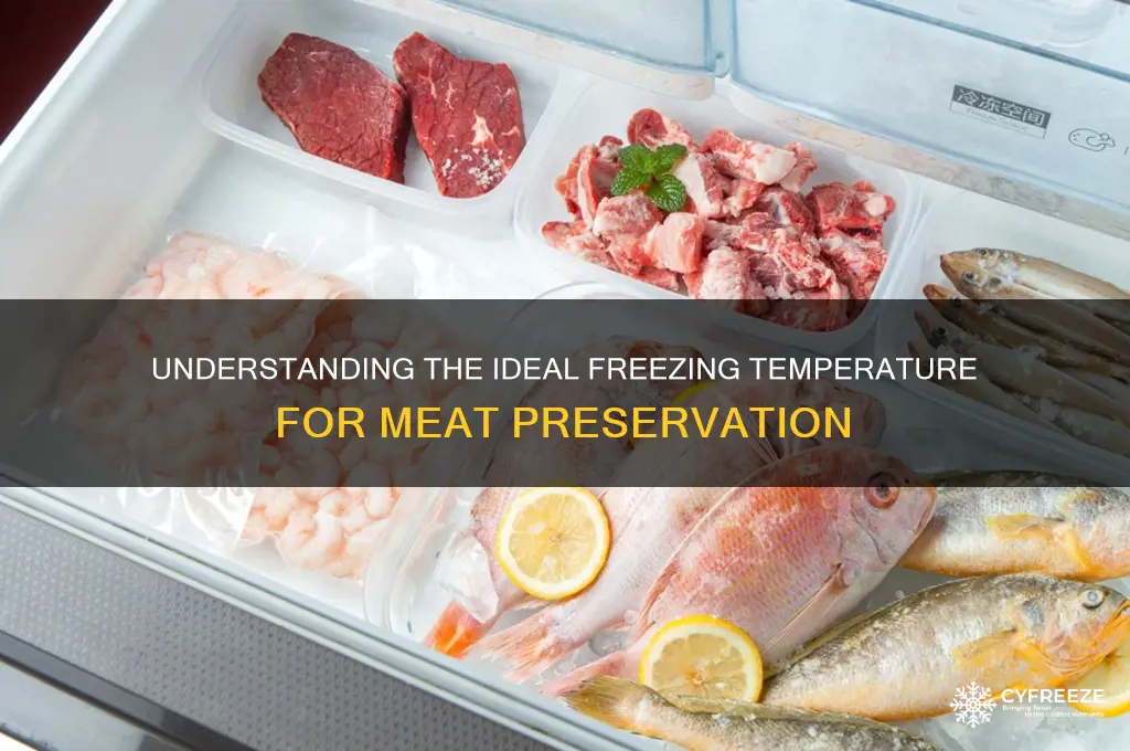 what is the freezing temperature of meat