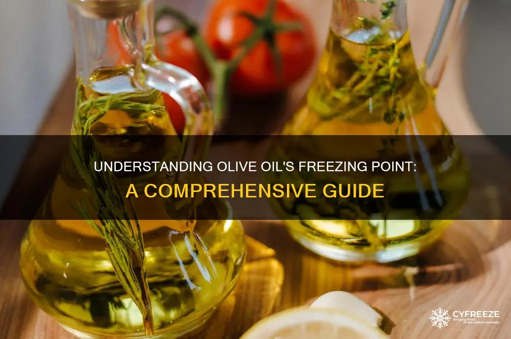 what is the freezing temperature of olive oil