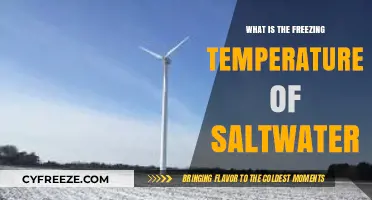Saltwater Freezing Point: Understanding How Salinity Affects Temperature