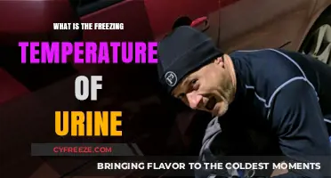 Understanding Urine's Freezing Point: Temperature Thresholds Explained