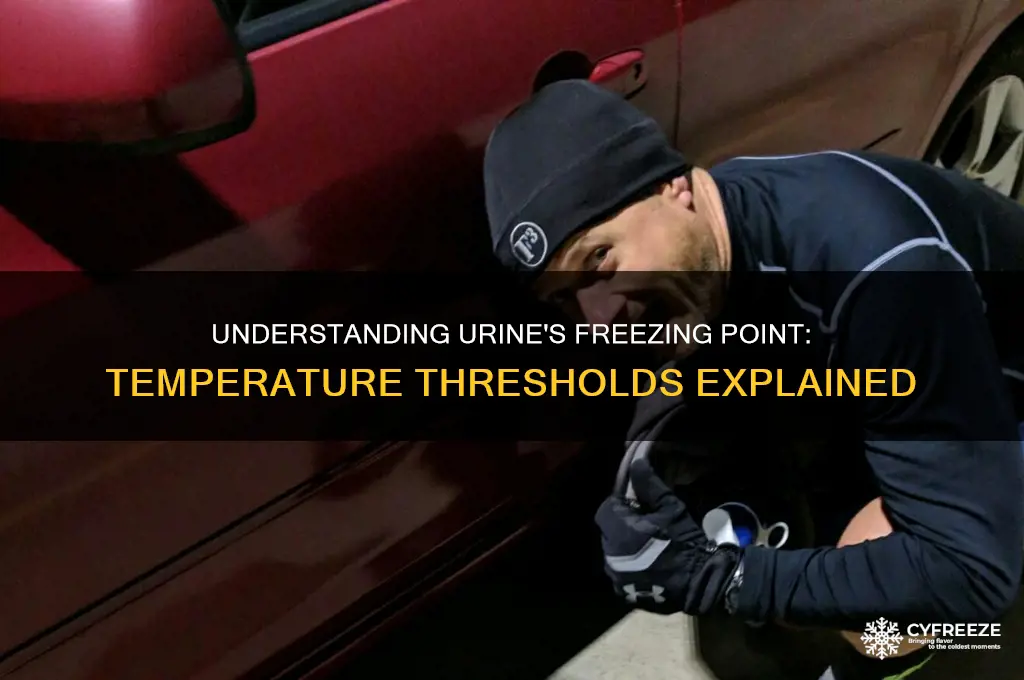 what is the freezing temperature of urine