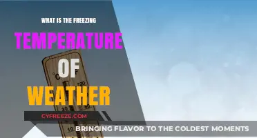 Understanding Weather: What Temperature Marks the Freezing Point?
