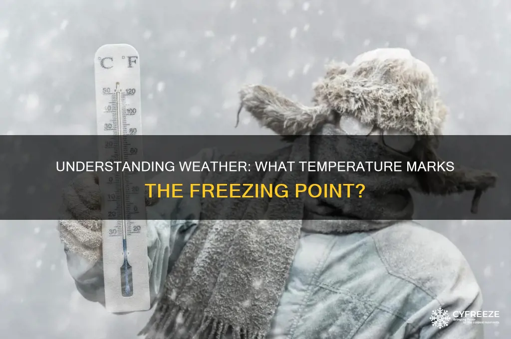 what is the freezing temperature of weather