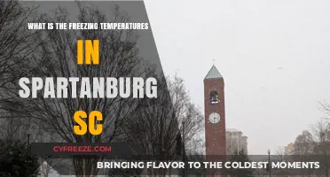Spartanburg SC Freezing Temperatures: Understanding Winter's Chill in the Upstate