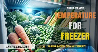 Optimal Freezer Temperature: Preserving Food Safely and Efficiently