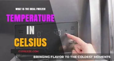 Optimal Freezer Temperature in Celsius: Preserving Food Safely and Efficiently