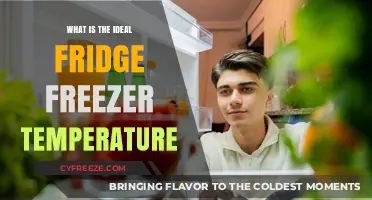 Optimal Fridge Freezer Temperature Guide: Keep Food Fresh and Safe