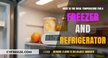 Optimal Freezer and Fridge Temperatures for Food Safety and Freshness
