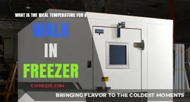 Optimal Walk-In Freezer Temperature: A Guide for Food Safety