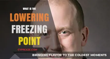 Understanding How Solutes Lower the Freezing Point of Liquids