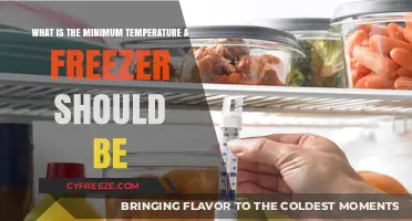 Optimal Freezer Temperature: Ensuring Food Safety and Freshness