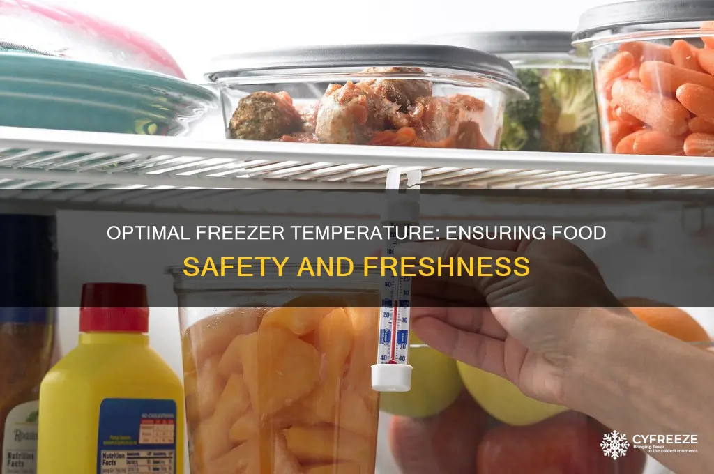 what is the minimum temperature a freezer should be
