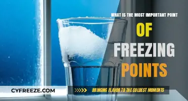 Understanding Freezing Points: The Critical Role in Science and Industry